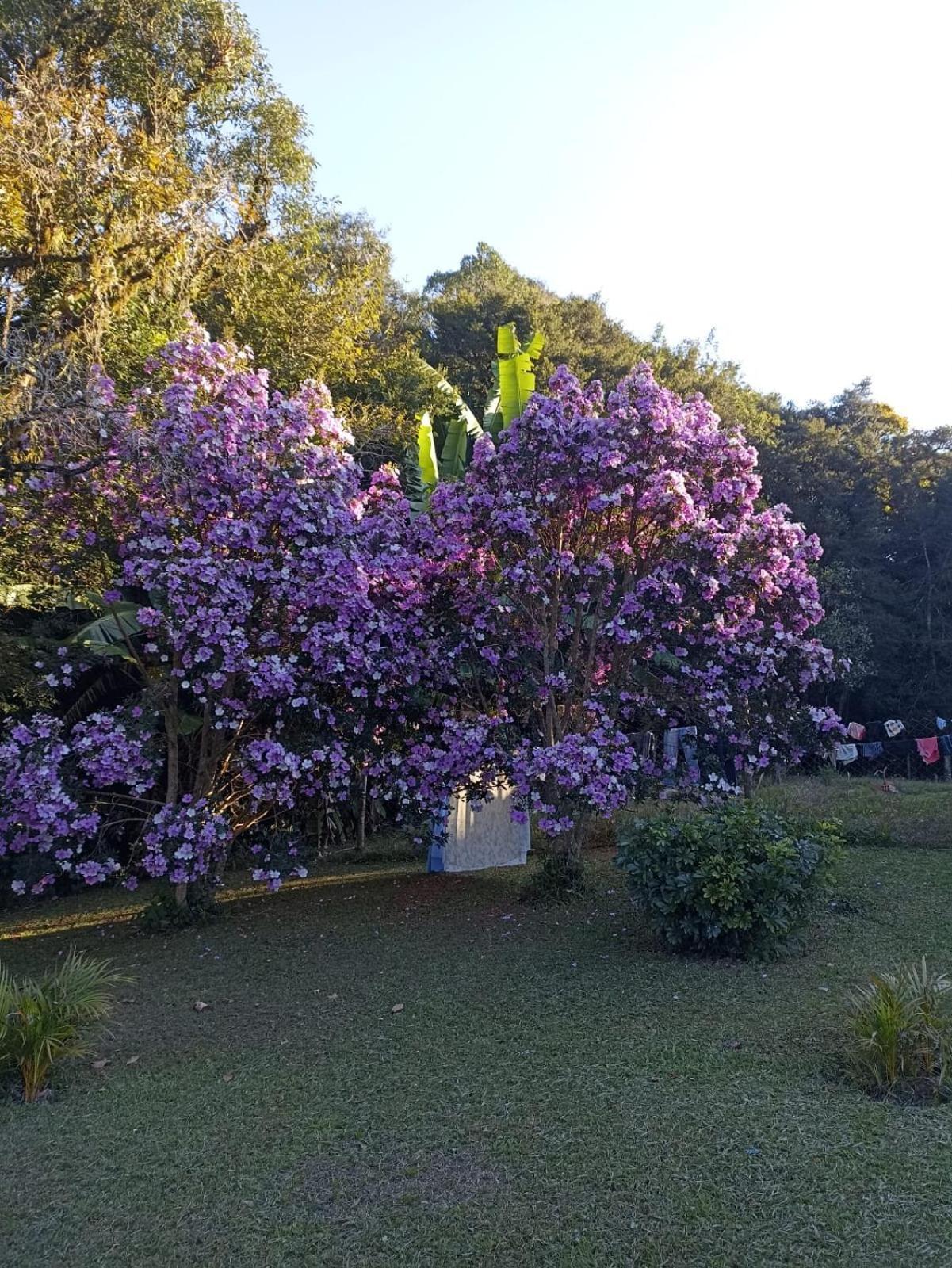 Chacara Cafe Nakombi'S Colombo Esterno foto